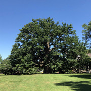 IMG 7761