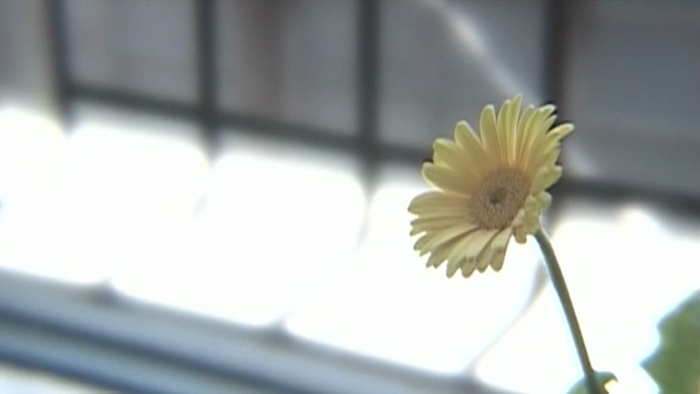 353d766c582d.png