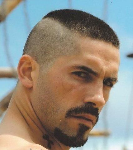 High-and-tight.jpg