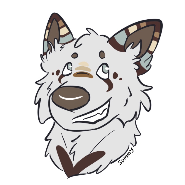 headshot/bust.jpg