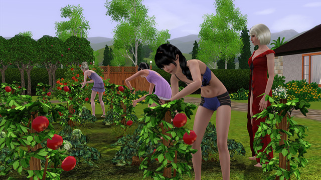 Screenshot 10.jpg