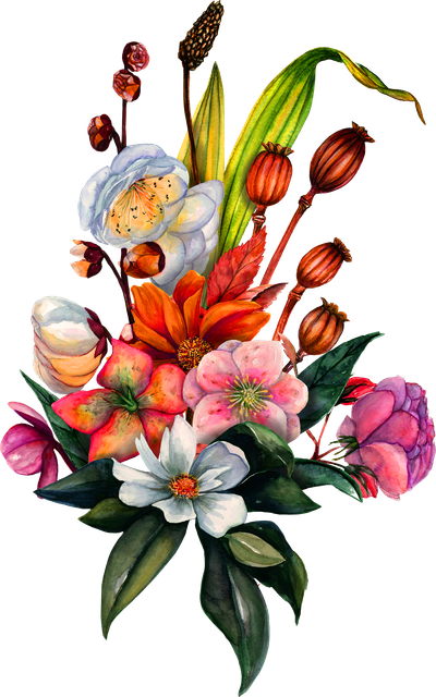 ab2ac0cb253fd2a4e1abc04b5c4a2ac8.png