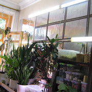 IMG 6434