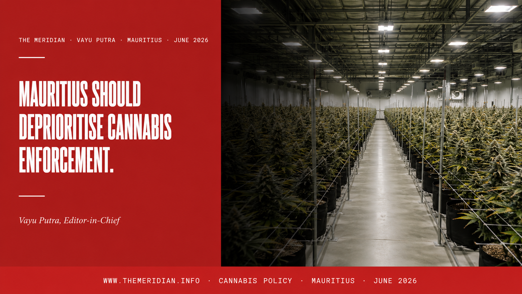 Mauritius Should Deprioritise Cannabis Enforcement The Meridian Vayu Putra