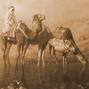 africa-63