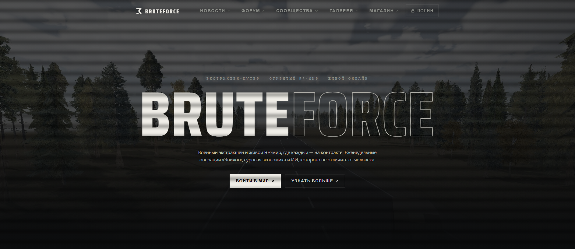 Forensic screenshot of bruteforce.team showing the phishing page layout
