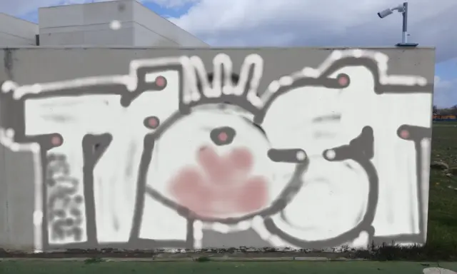 Graffiti artwork by taost