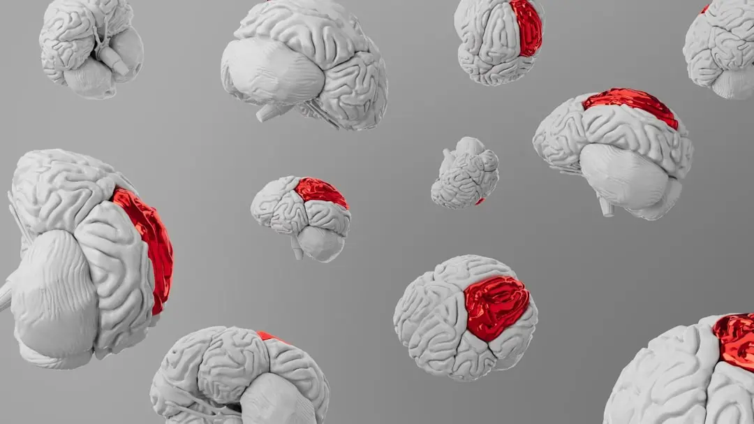 Menopause & Brain Changes Revealed