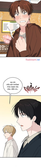 05.jpg