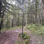 IMG 4785