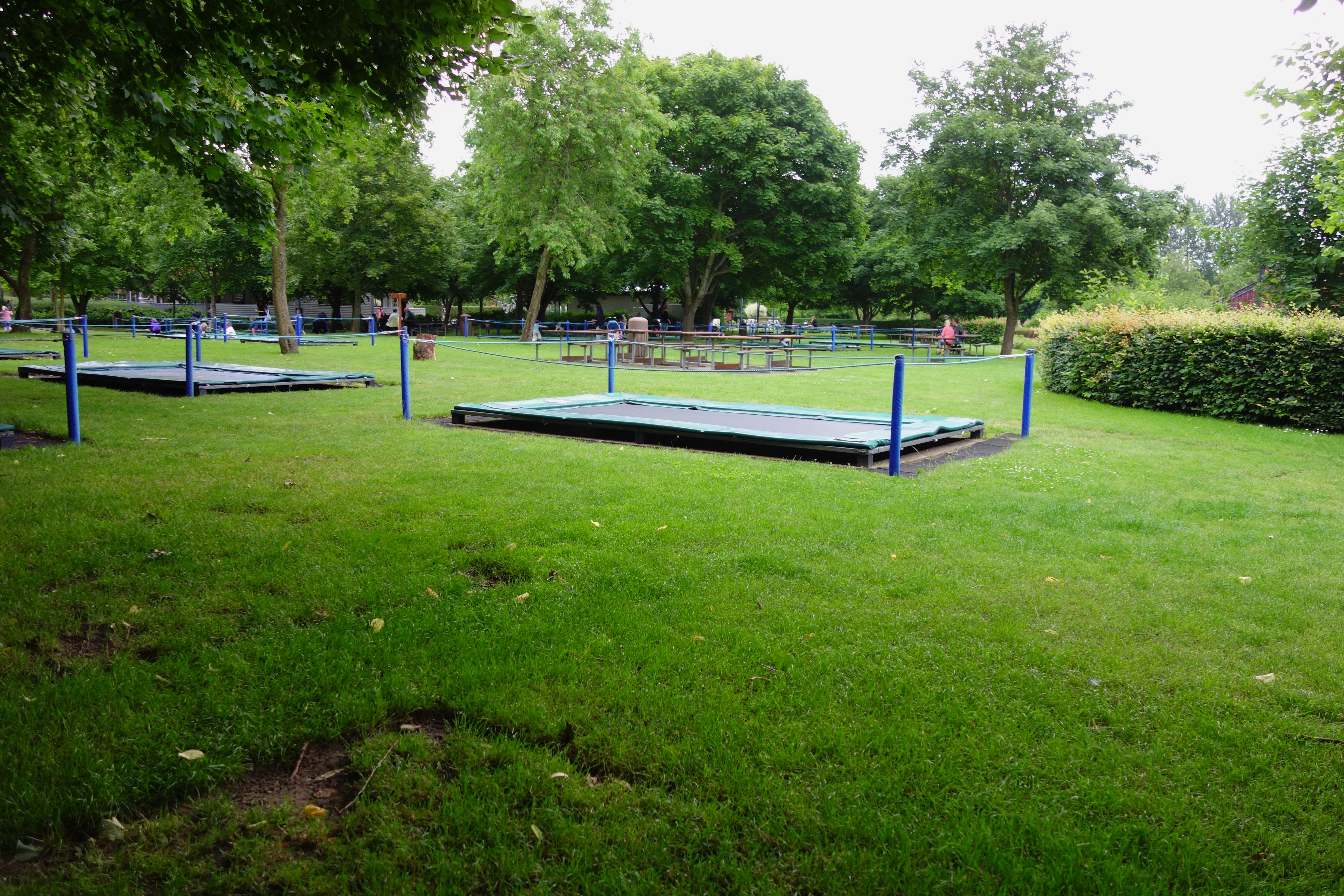 DSC09861