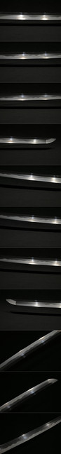 DSC4505.jpg