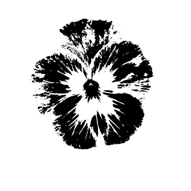 9fd2b5e82b3153cbe0f87c4389904bef.jpg