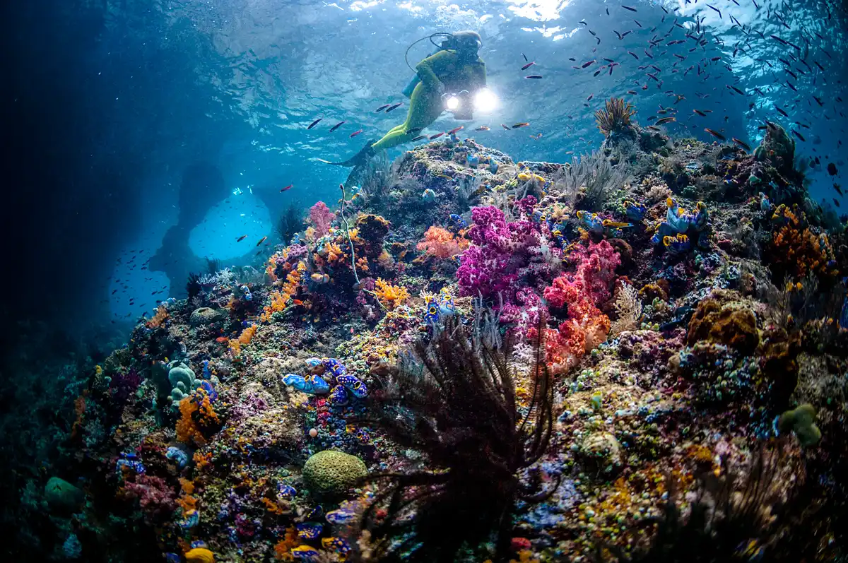 Cele mai bune 20 de locuri de snorkeling pentru toți
