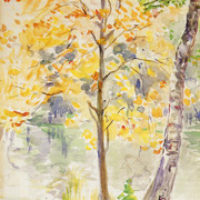 Berta-Morizo-0149