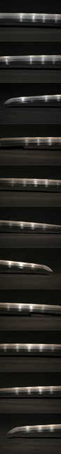 DSC2368.jpg
