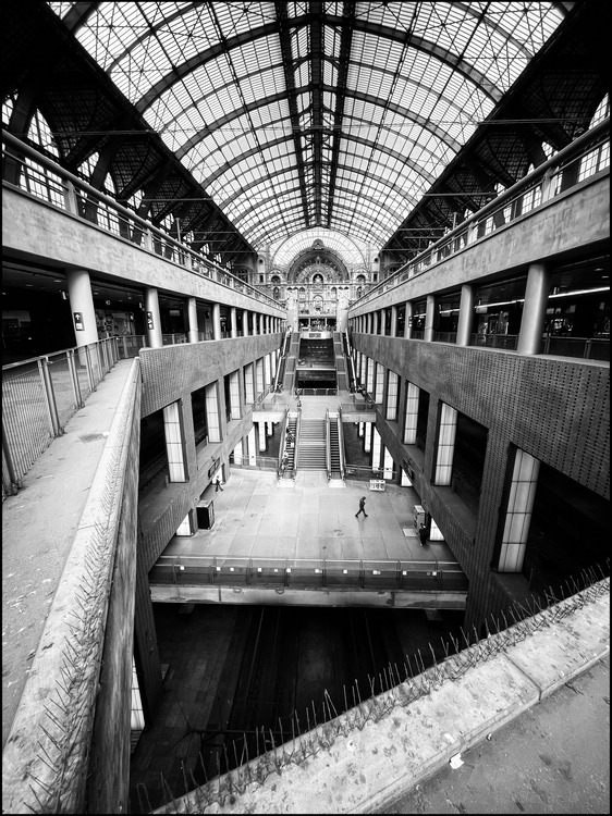 comp IMG 1561(1).jpg