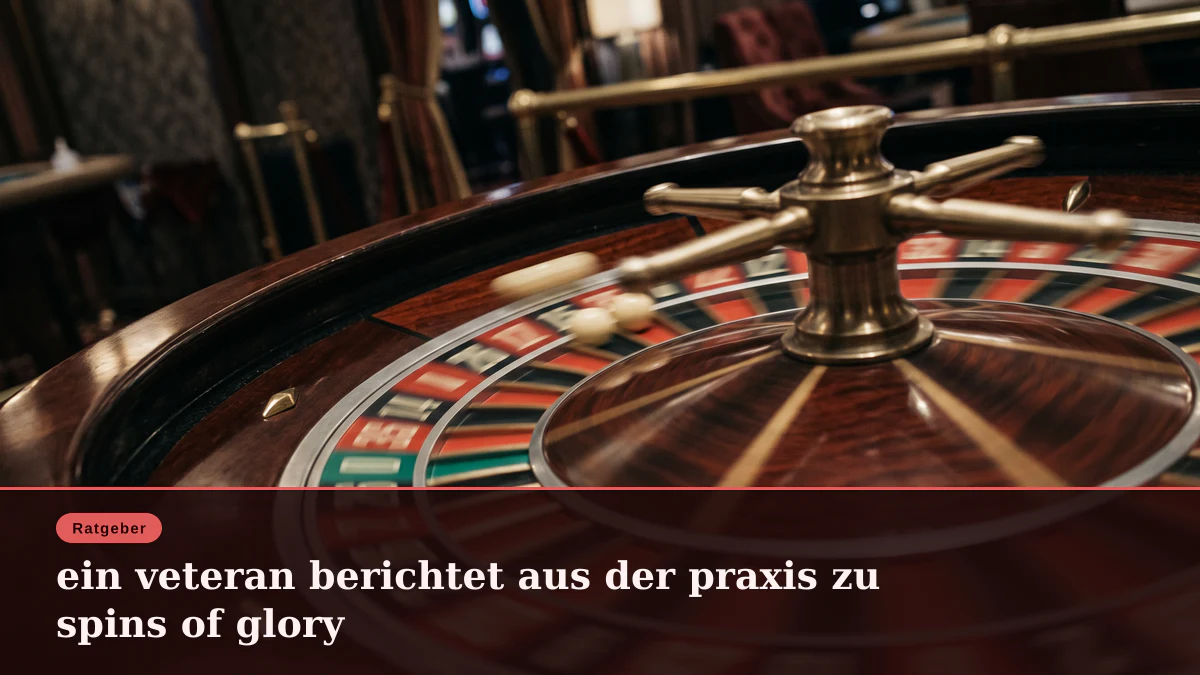 ein veteran berichtet aus der praxis zu spins of glory