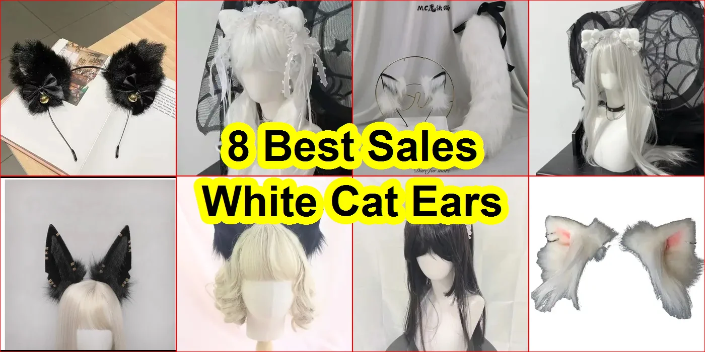 白色貓耳朵 評價