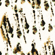 DC 7031 1.jpg