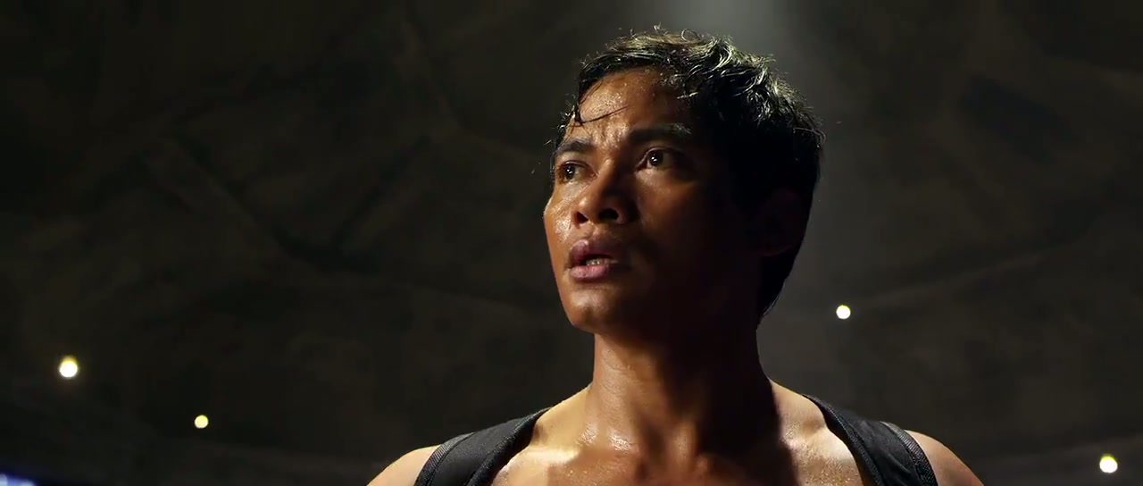 The Protector 2 Screenshot