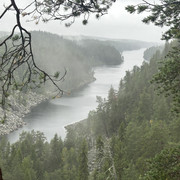 IMG 4887
