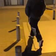 The bollard walking skill ain’t so common