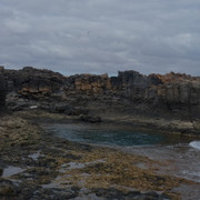 DSCF8610