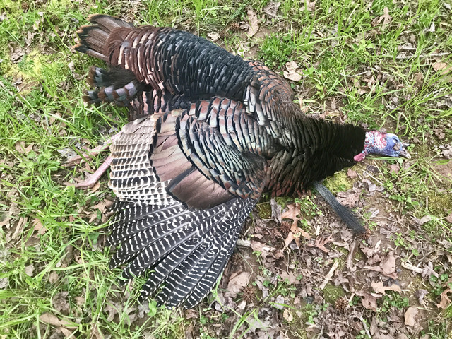 2018 turkey 03