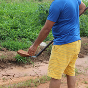 IMG-6455
