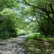 P1330884