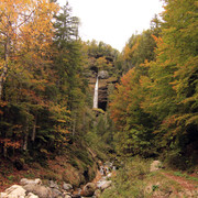 IMG-0194