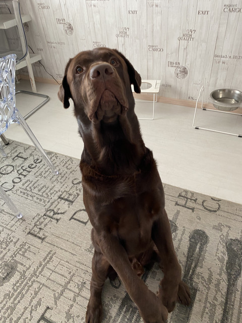 9-AF3-CEE5-765-D-4-CEE-AEF1-2349-F168-FC