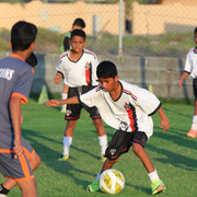 IMG-3137