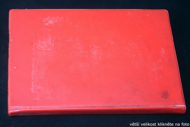 IMG-3782.jpg