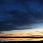 IMG-3006