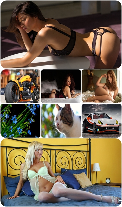 Beautiful widescreen wallpapers 873