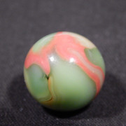 DSCN1608