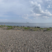 IMG-3502