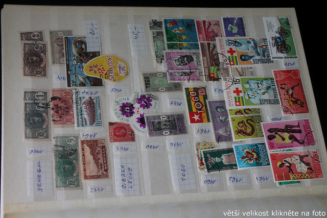 IMG-3738.jpg