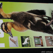 IMG-7747