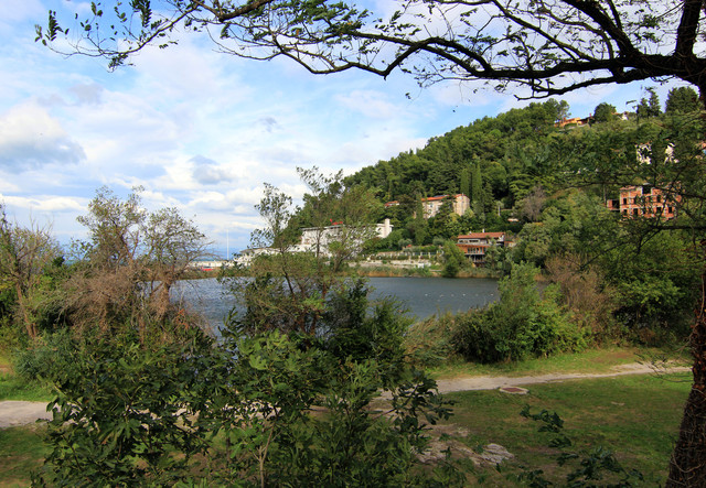 IMG-9854.jpg