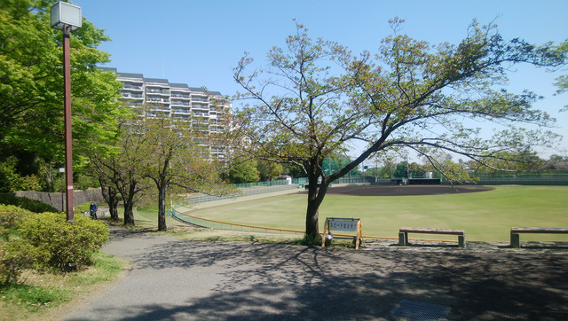 DSC-0012.jpg