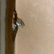 IMG-9706
