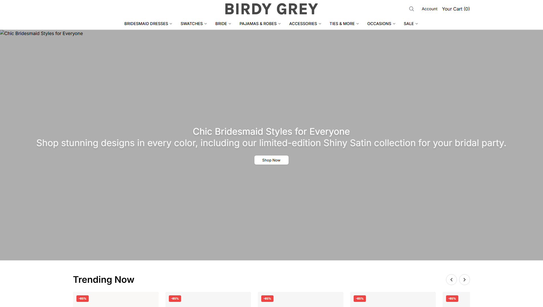 Основной снимок · birdygreyshop.shop