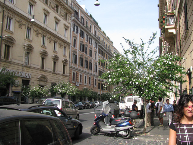 IMG-8787