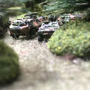 IMG 8659