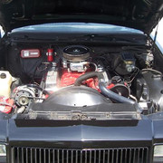 425REGAL 3