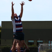 IMG-9226