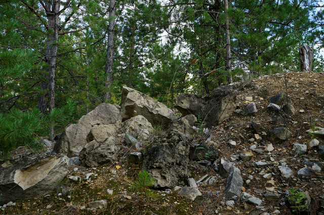 59.jpg